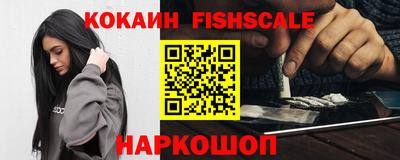 крисы Кулебаки