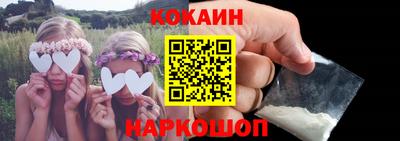 крисы Кулебаки