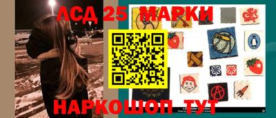 крисы Кулебаки