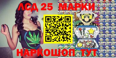 крисы Кулебаки