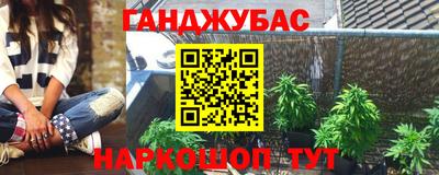 крисы Кулебаки