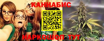 крисы Кулебаки