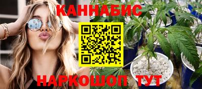 крисы Кулебаки