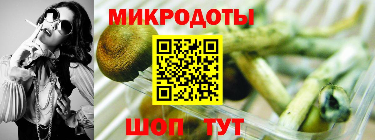 Псилоцибиновые грибы Psilocybine cubensis Улан-Удэ