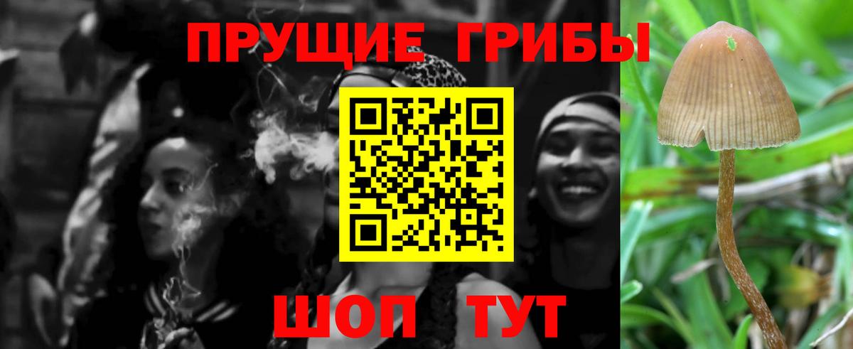 Псилоцибиновые грибы ЛСД  Псилоцибиновые грибы GOLDEN TEACHER  наркошоп  Вход с VPN  Улан-Удэ 